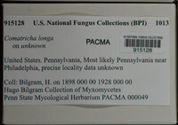 Image Associated With the Occurence